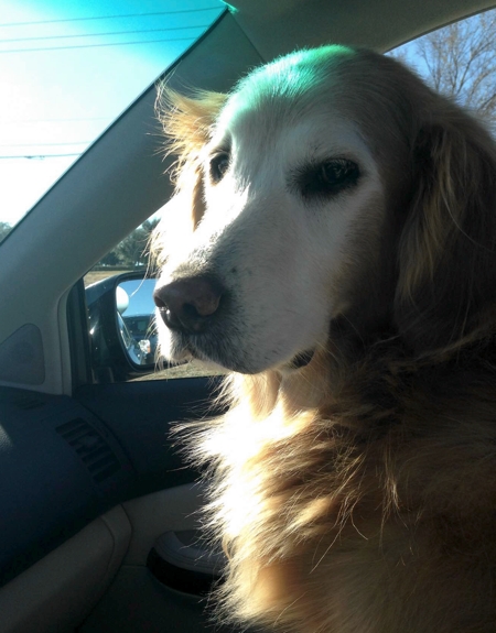Playing Fast and Loose with Euthanasia