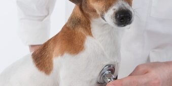 Annual Health Exams: Necessary or Not?