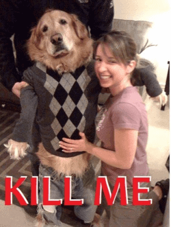 Stop Killing Your Pet: The Top 5 Ways