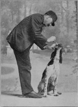 dog getting medicine