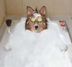 Groomers as Cops