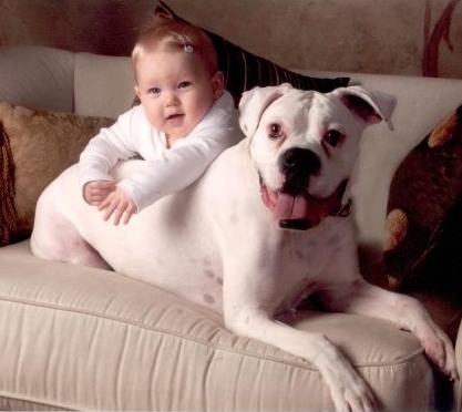 How to Save Your Child from the Plague of Asthma (While Saving a Dog’s Life)