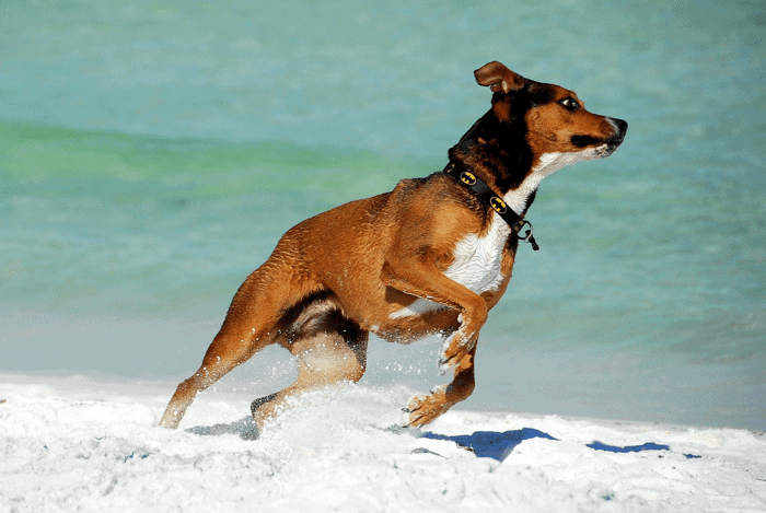 Instant Gratification in Health? Run the Other Way!