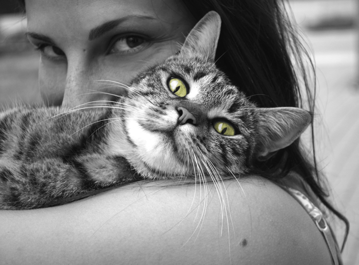 How to Legally Avoid Rabies Vaccine