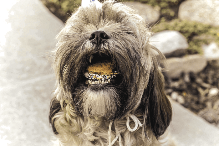 Rotten Teeth Cause Cancer