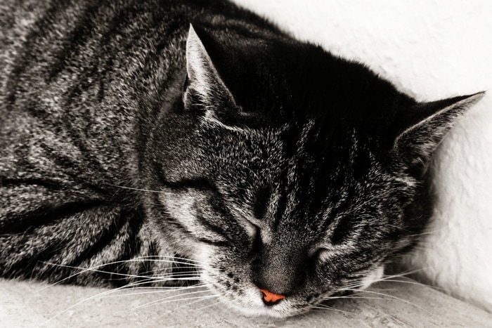 Sound Sleep, Held in the Arms of Age Old Truth