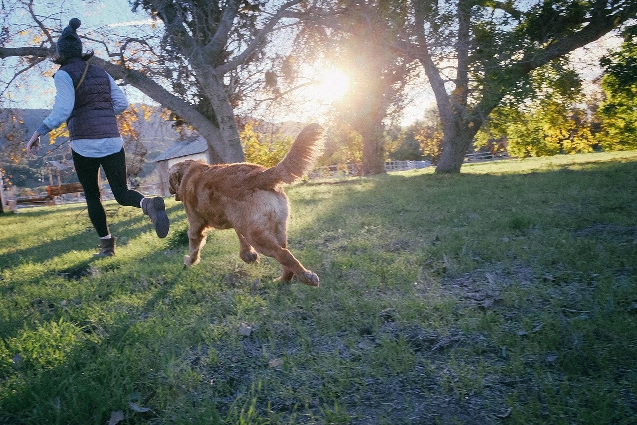 No Surprise: Animals Are Good for Your Health