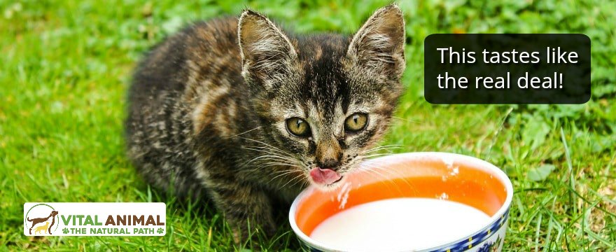 Got REAL Milk?
