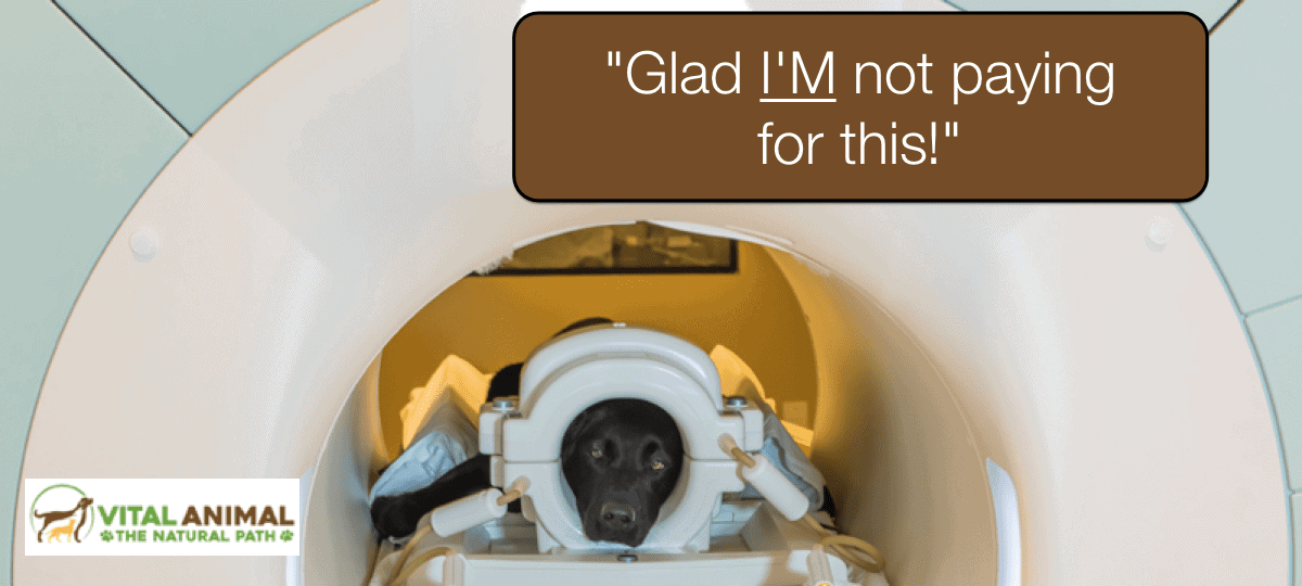Seizures + MRI: Do You Really Need One?