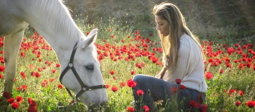 #15 Lions and long distance homeopathy