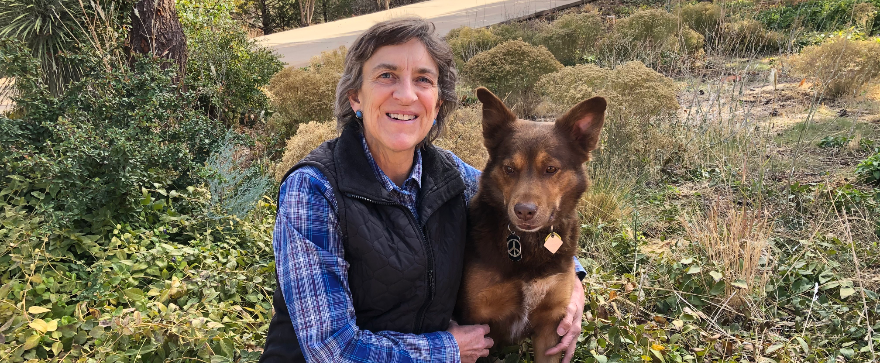 #17 Is vegan food right for your dog or cat?