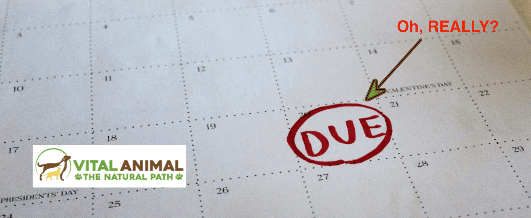 #28 Are You Making This Common Mistake?