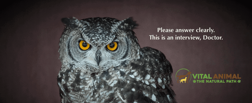 #35 How to Get Your Vet Needs Met