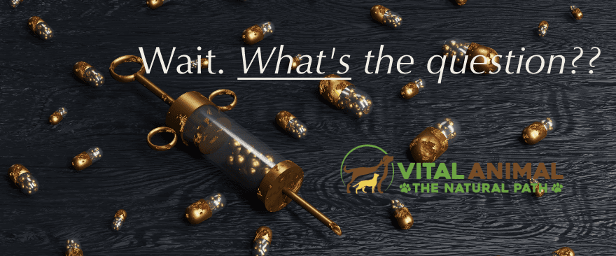 #37: Is Nosode Use Safe After Vaccines?