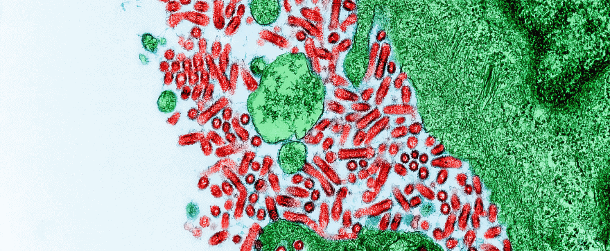 #40: Are viruses real or not?