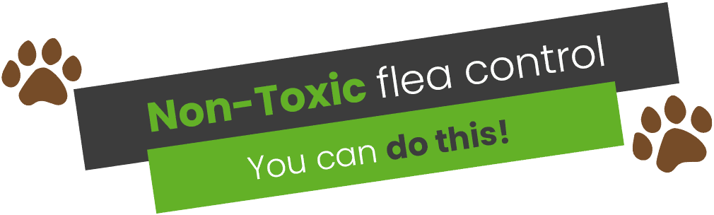 Non-toxic flea control reminder