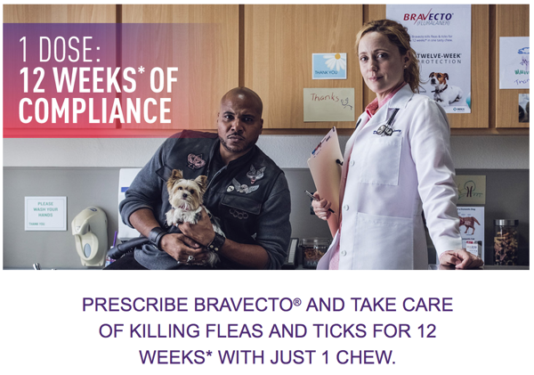 Bravecto ad. 600