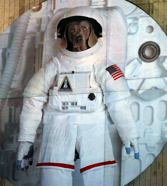 Food As Medicine, Yes. But Food From Mars for Your Pets?