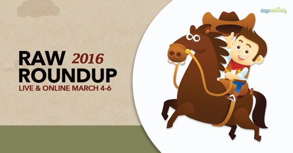 RawRoundup2016AffiliateImage 600