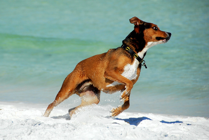 You've got what for me? I'm outta here!
