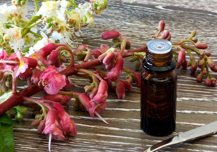 Bach Flower Remedies for Animals