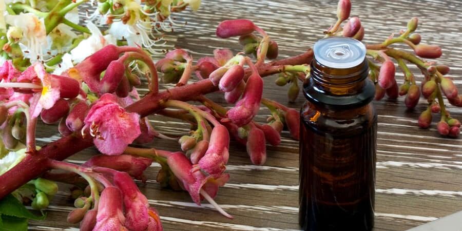 vitalanimal bachflowerremediescoursepage mainpic