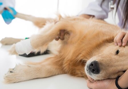 Neuter. Or Not? And When?
