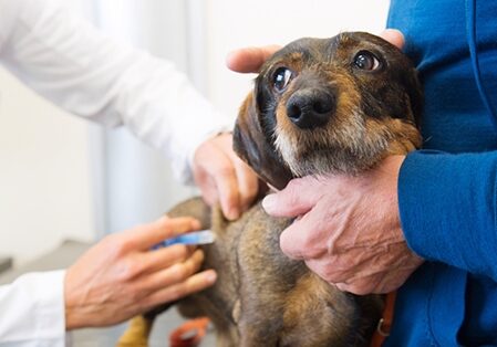 Vaccinations: Consider Carefully